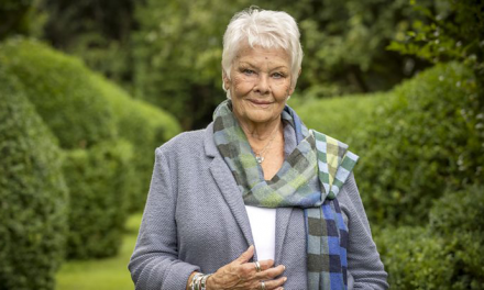 Theme Builder Layout