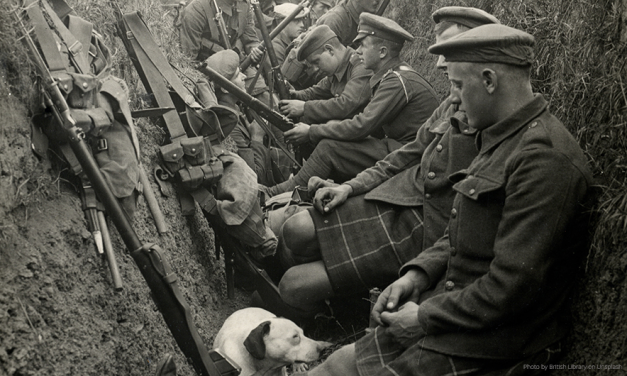 Search for Relatives of Three WW1 Scottish Soldiers – Are You Related?