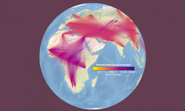 Genetics Researchers Fit 27 Million Ancestors into the Largest Ever Human Family Tree