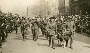 ANZACS