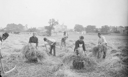 Irish Ancestors – An Introduction to Researching Your Irish Genealogy