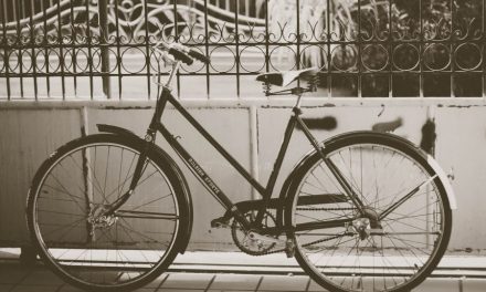 Cycle ride brings history alive for families