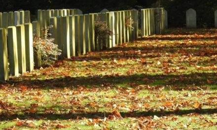 February 2023 Appeal for Relatives of War Dead – Can You Help?