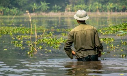 Live at the Library celebrates Vietnam veterans and Jewish-American heritage month