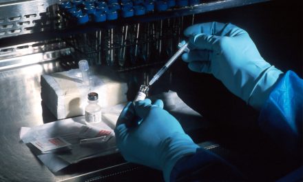 How to use DNA testing to trace your ancestry