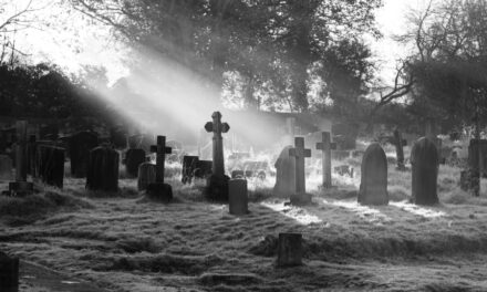 Exploring your ancestry through cemetery research
