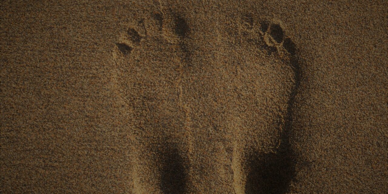 Walking Through History: The Fascinating Link Between Foot Shape and Ancestry