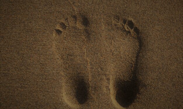 Walking Through History: The Fascinating Link Between Foot Shape and Ancestry