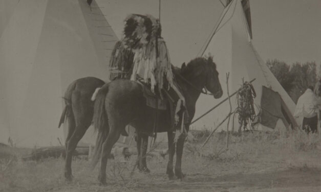 A Guide to Tracing Native American Ancestry