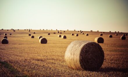From Farm to Family: Exploring Agricultural Roots in Your Genealogy