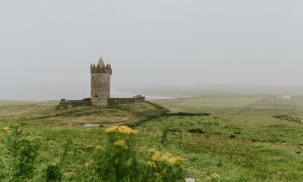 RootsIreland expands database with over 25,000 records so far this August