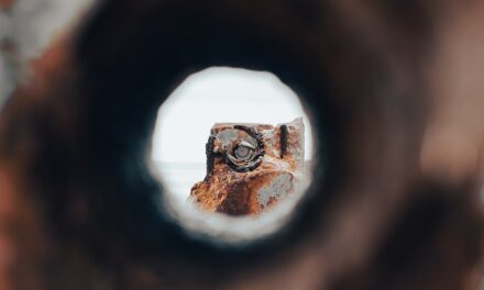Parallel Lives: Examining Coincidences and Synchronicities in Family History