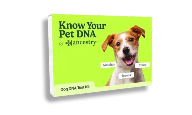 Ancestry® launches know your pet DNA