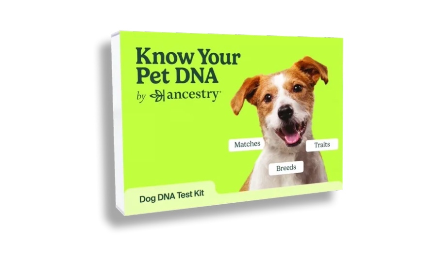 Ancestry® launches know your pet DNA