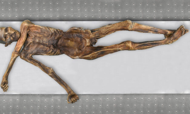 Ötzi the Iceman: New DNA insights challenge previous assumptions