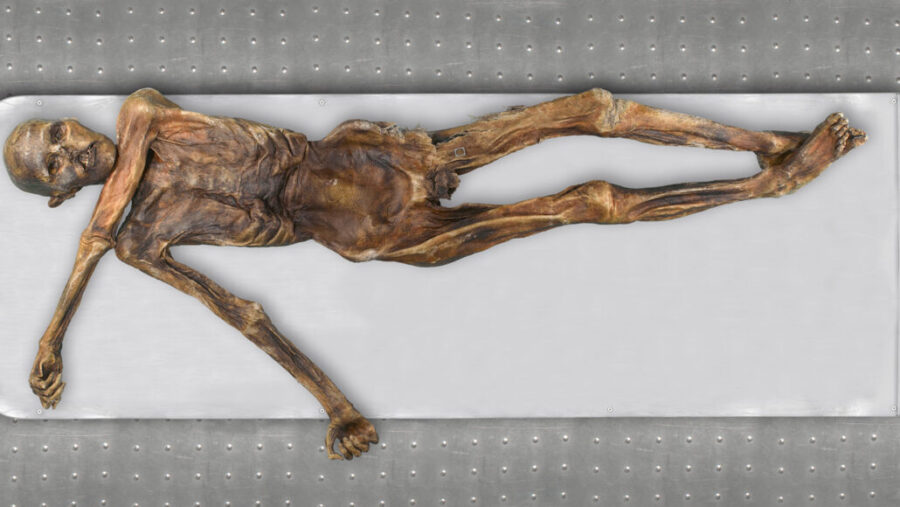 Ötzi the Iceman: New DNA insights challenge previous assumptions