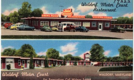 Reclaim the Records releases millions of Maryland records online