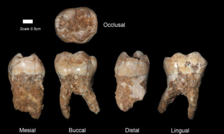 Book launch takes us back to where it all began…