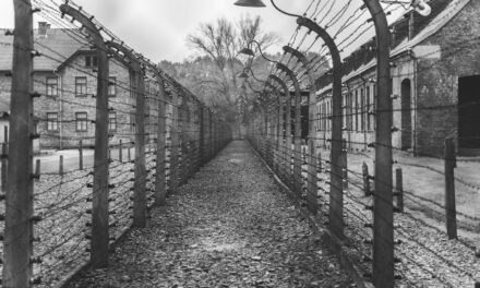 DNA unveils hidden holocaust survivor cousin