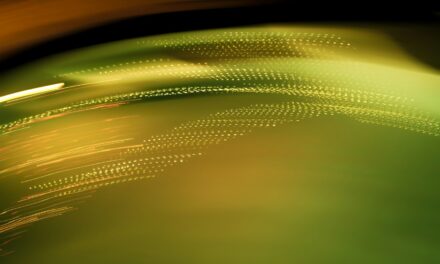 Census data reveals strong presence of women and minorities in business landscape