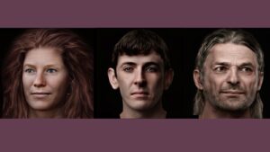 Stories for Faces Exhibition - three digitally reconstructed faces