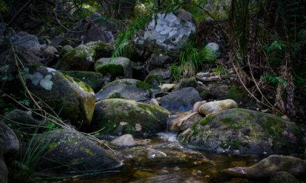 Remarkable discoveries in unassuming objects!