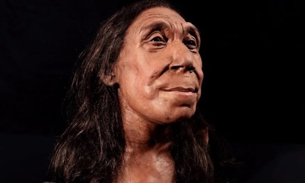 Amazing reconstruction brings Neanderthal woman to life