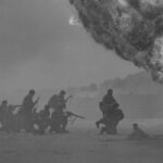 Appeal for relatives of war dead – can you help?