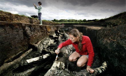 Mesolithic life comes alive in York! ‘Britain’s Oldest House’ to be built in museum gardens
