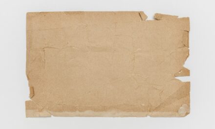 Census Bureau to announce sites for 2026 census test