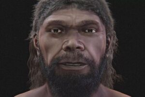 Oldest human face reconstructed