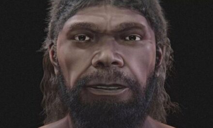 Reconstruction of 300,000-year-old Moroccan remains