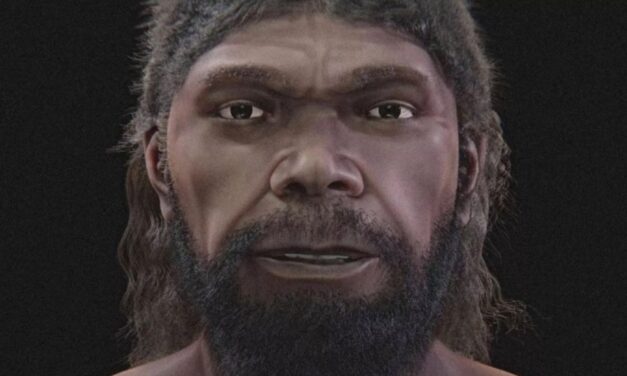 Reconstruction of 300,000-year-old Moroccan remains