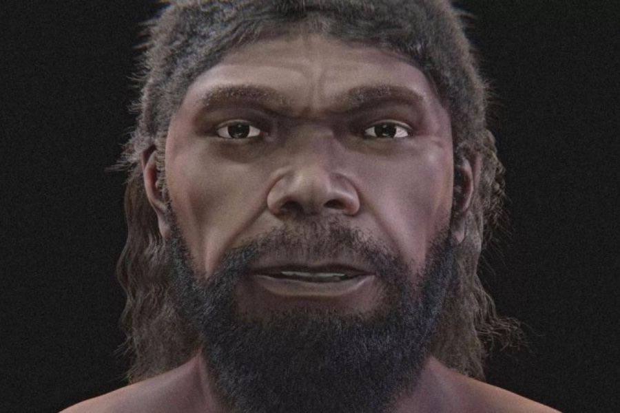 Reconstruction of 300,000-year-old Moroccan remains