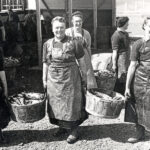 Following the Fish – gathering the stories of the Herring Girls