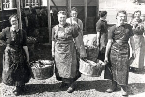 Herring Girls