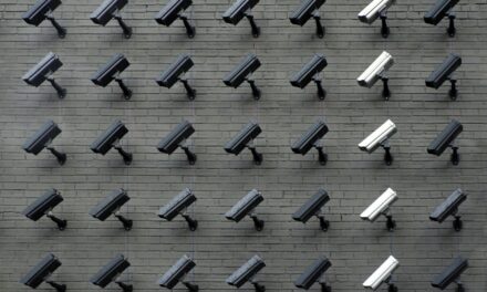 Protecting Your Privacy in Genealogy: Best Practices for Online Safety