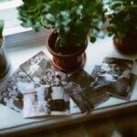 Myth-busting family legends with historical records