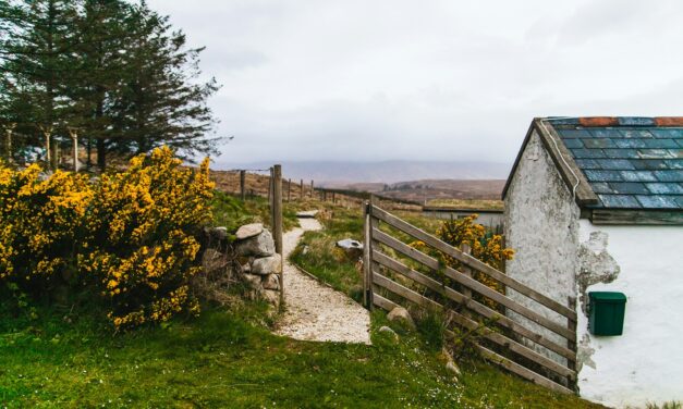 Roots Ireland enhances Clare database with over 17,700 new genealogical records