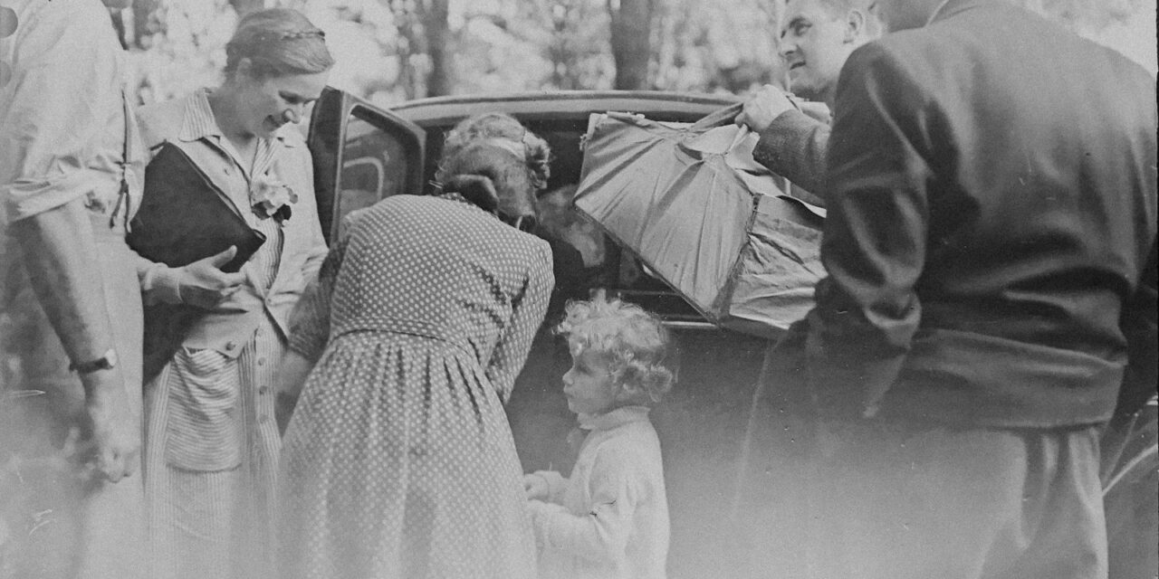 Ancestry test reveals 18 secret siblings in post-war adoption scandal