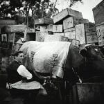 Ancestor occupations you never considered