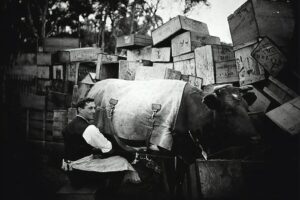grayscale photo of man in white t-shirt and black pants riding on horse