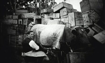 Ancestor occupations you never considered
